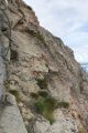 Le Panoramic: Vers l'arriv�e des voies d'escalade et le d�part des rappels