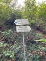 Le Belv�d�re: Indicateur de sortie o� tyrolienne si r�servation effectu�e pr�alablement septembre 2023