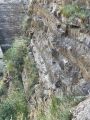 Le Belv�d�re: Suite parcours apr�s passerelle septembre 2023
