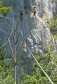 Les �chelles de la Mort: pont de singe 3 brins vu de l'autre cot�