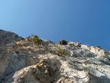 Saix de Miol�ne
