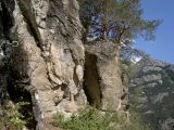 Le chemin de la vierge: D�part