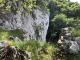 La Primev�re � Oreille d'Ours: GVIAL 2018/2019
