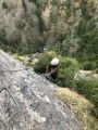 Siala