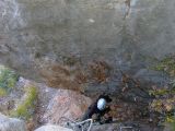 La Grande Falaise