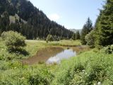 La Cascade: La resdescente par un tr�s joli vallon