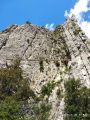 Ferrata familia des Ammonites