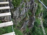 Les Gorges du Haut Cher: premi�re passerelle 