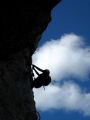 La Berche: Contre-jour