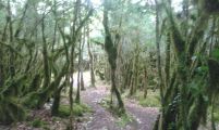 Le Regardoir / Lac de Vouglans: Chemin de retour bien humide