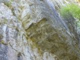Les Baumes du Verneau: 1er passage TD (le tron�on cot� TD au d�part rel�ve du ED avec ses 5 passages difficiles)