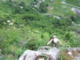 La t�te de l��l�phant