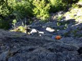 Mini via ferrata