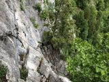 Via ferrata du Mont: GVIAL 2018/2019