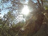 Le roc de Tovi�re: Superbe!!!