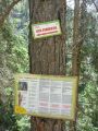 Le Grand Vallon: Suivre les panneaux