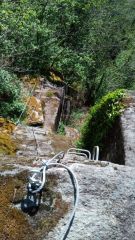 Le Saillant