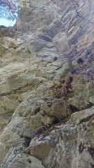 Le chemin de la vierge