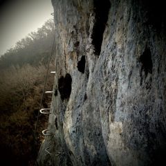 La Primev�re � Oreille d'Ours: En un joli dimanche de d�but de printemps, les coeurs de la montagne sourient aux usagers de la via ferrata juste avant l'�chap�e finale.