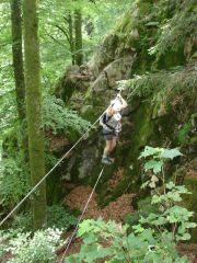 Rando-ferrata de la source de la Moselle: Le pont de singe