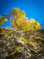 Les mines du Grand Cl�t: couleurs d'automne magnifiques