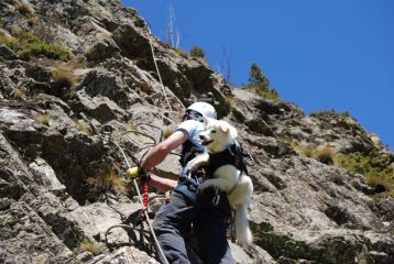 La Cascade: m�me les toutous peuvent faire cette via avec un baudrier sac a dos bien sur