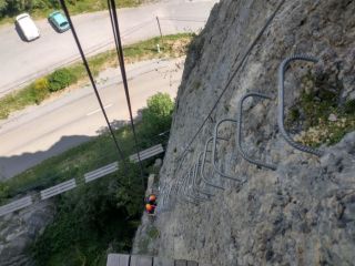 Ferrata familia des Ammonites
