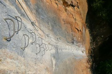 L'�il de l'�l�phant