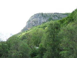 La t�te de l��l�phant