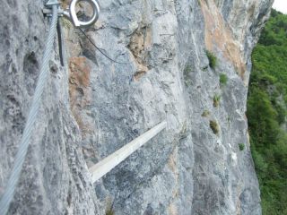 La t�te de l��l�phant