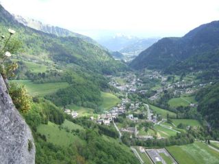 La t�te de l��l�phant