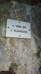 L'�il de l'�l�phant: GVIAL2019