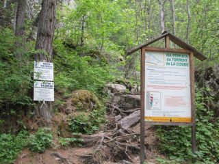 Le sentier de la combe