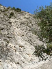 Les demoiselles du Castagnet: Ca monte comme �a pendant un bon moment !