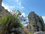 Rocher du Saint-Julien: Dernier pont tibtain de La Roumpo Quieu