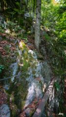 Rando-ferrata de la Source de la Moselle: La poutre sur la deuxième partie dans la forêt.