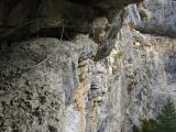 Les Vires des Gorges d'Agnielles: Passage de 30 m en devers (a tire un peu sur les bras)