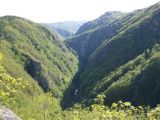 La via ferrata du bois des Baltuergues: ambiance Gorges de la Truyre