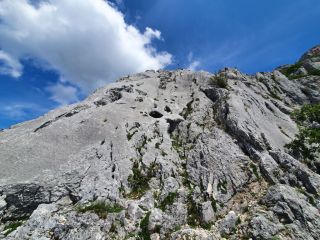 Sentiers alpins de Collonge sous Salève: la paroi du fromage