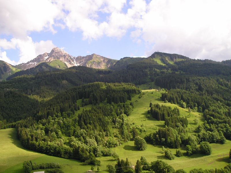 Saix de Miol�ne: abondance018.jpg