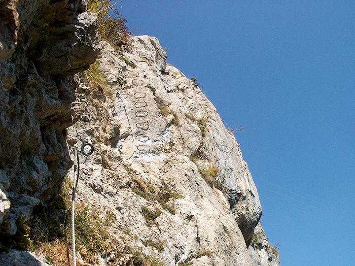 Saix de Miol�ne: abondance05.jpg