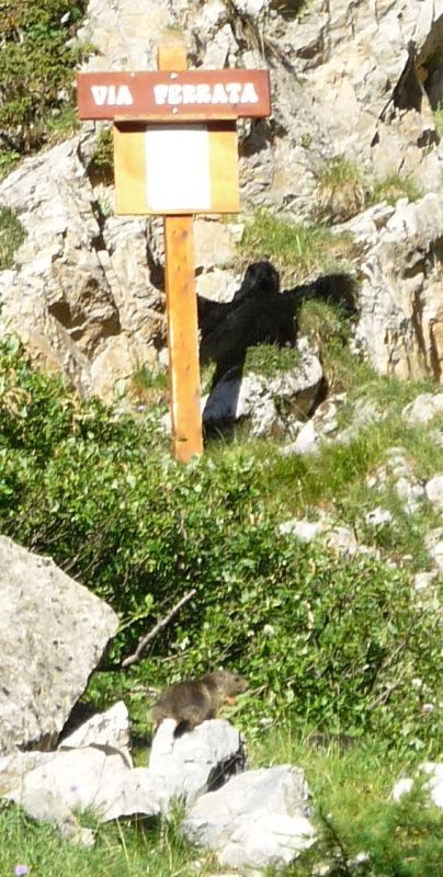 Pra-Premier: arvieux009.jpg