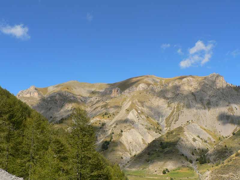 : auron019.jpg