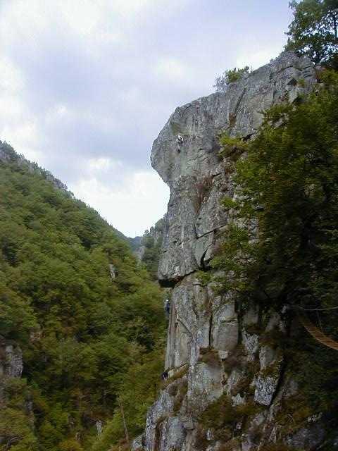 Bois des Baltuergues: baltuergues02.jpg