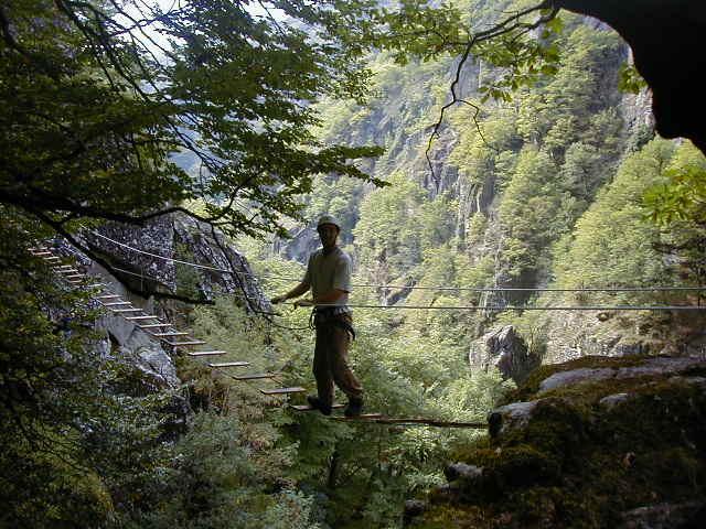 Bois des Baltuergues: baltuergues07.jpg