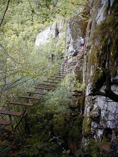 Bois des Baltuergues: baltuergues08.jpg