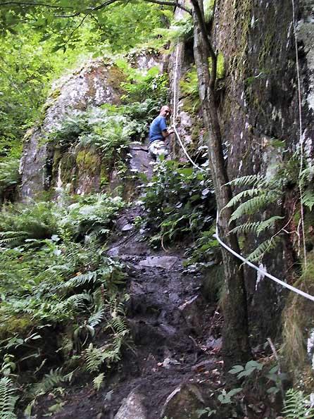 Bois des Baltuergues: baltuergues12.jpg