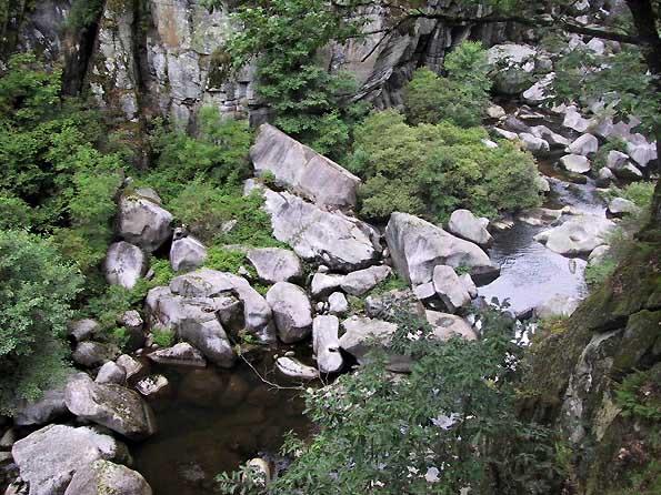 Bois des Baltuergues: baltuergues13.jpg