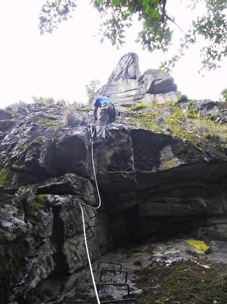 Bois des Baltuergues: baltuergues14.jpg