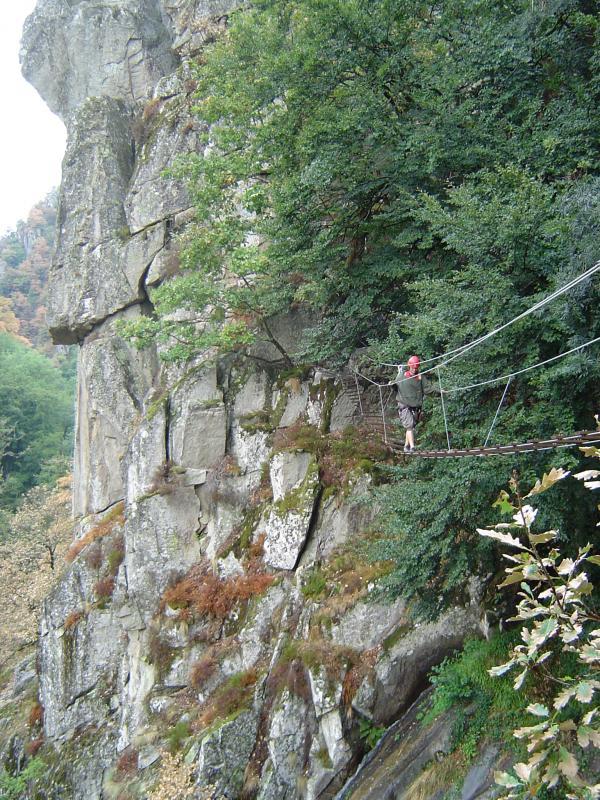 Bois des Baltuergues: baltuergues18.jpg